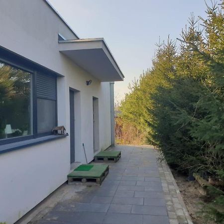 Maly Apartament W Zieleni Blisko Jeziora Środa Wielkopolska Esterno foto